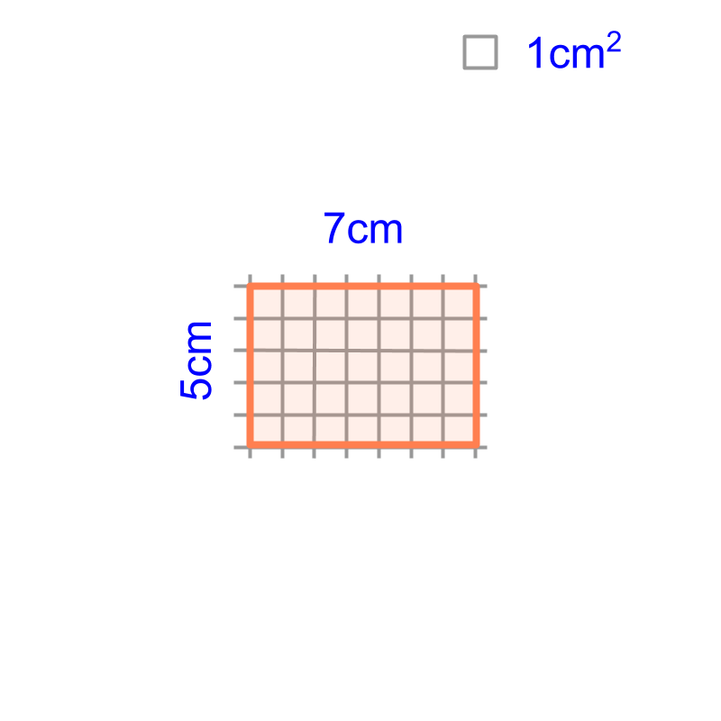 area of rectangle